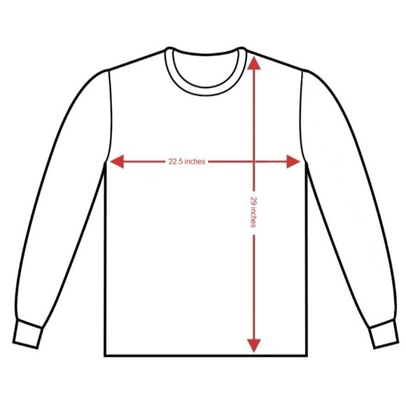 Palace Tri Smoke Long Sleeve Shirt - Picture 7 of 7